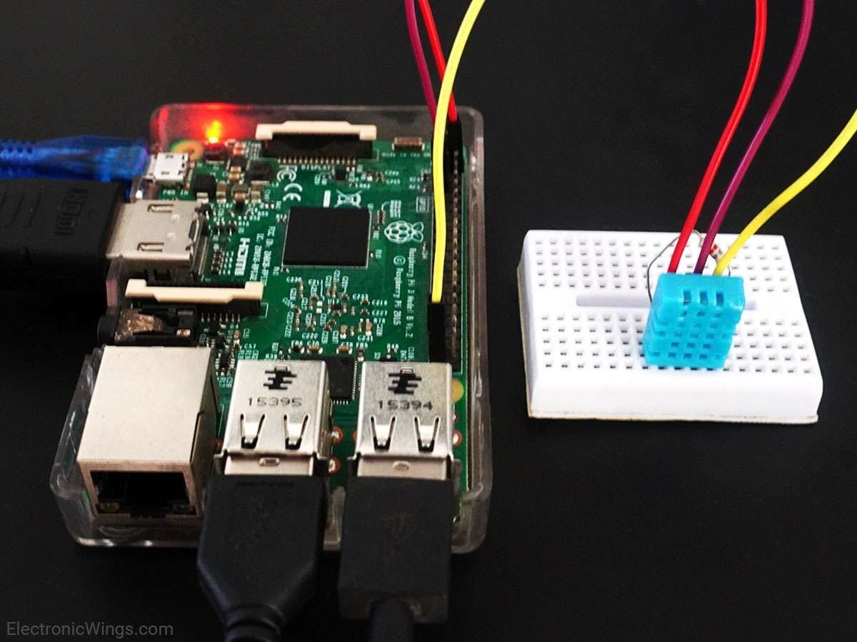 DHT11 Interfacing with Raspberry Pi | Raspberry Pi