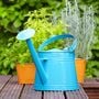 Automatic watering system and environment monitoring for home garden using Microsoft Azure Services