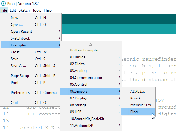 ping example