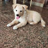 KarthikVignesh