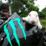 balaji rockz