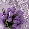 Suchita1407