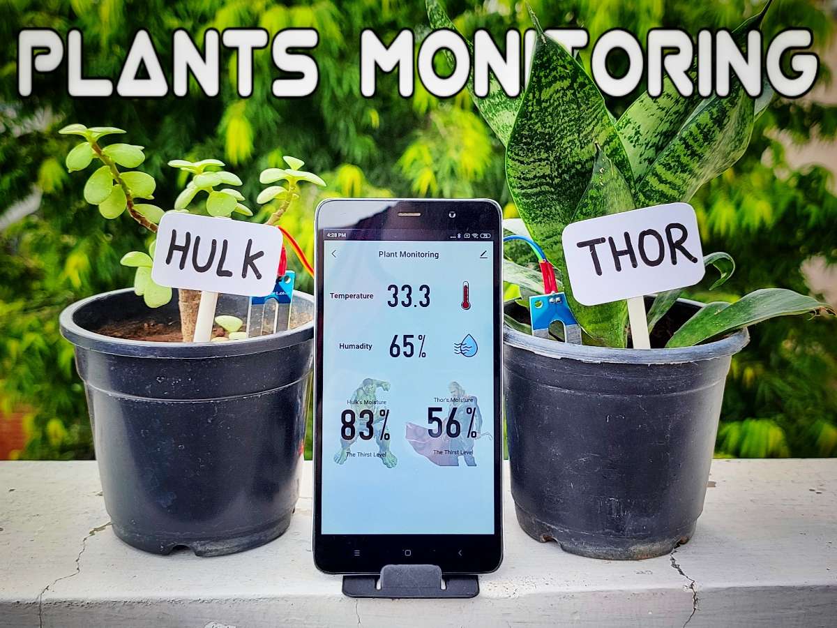 display image