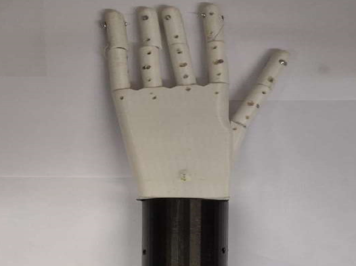 display image