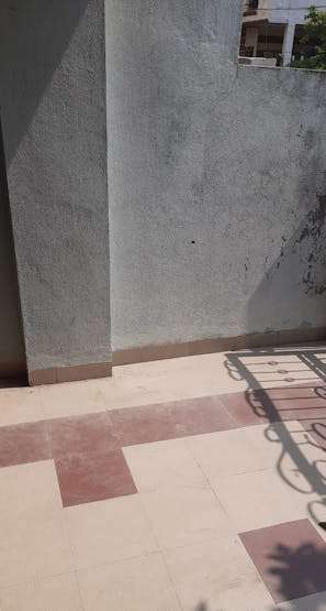 Description: Wall in front of my garden