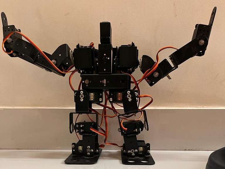 Humanoid Robot