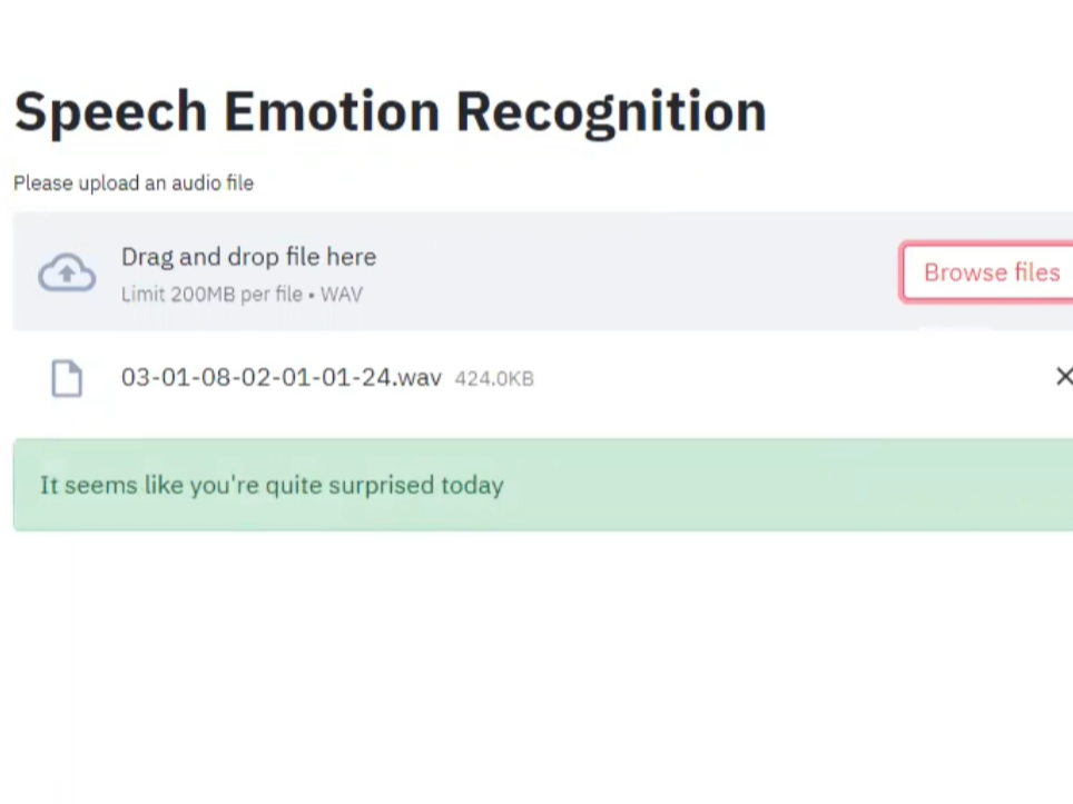 Speech Emotion Recognition | project