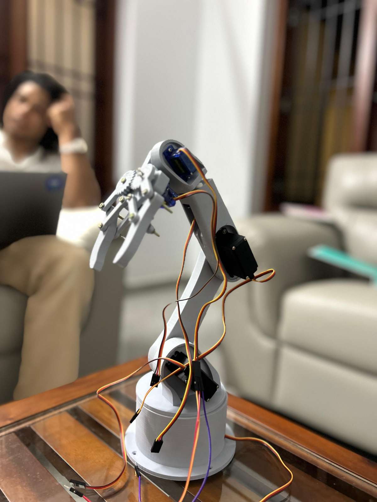 Object Detection and Sorting Robotic Arm | project