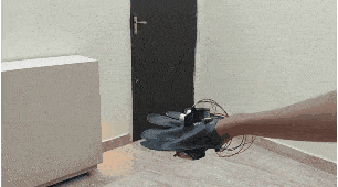 Virtual Eye For typhlotic people
