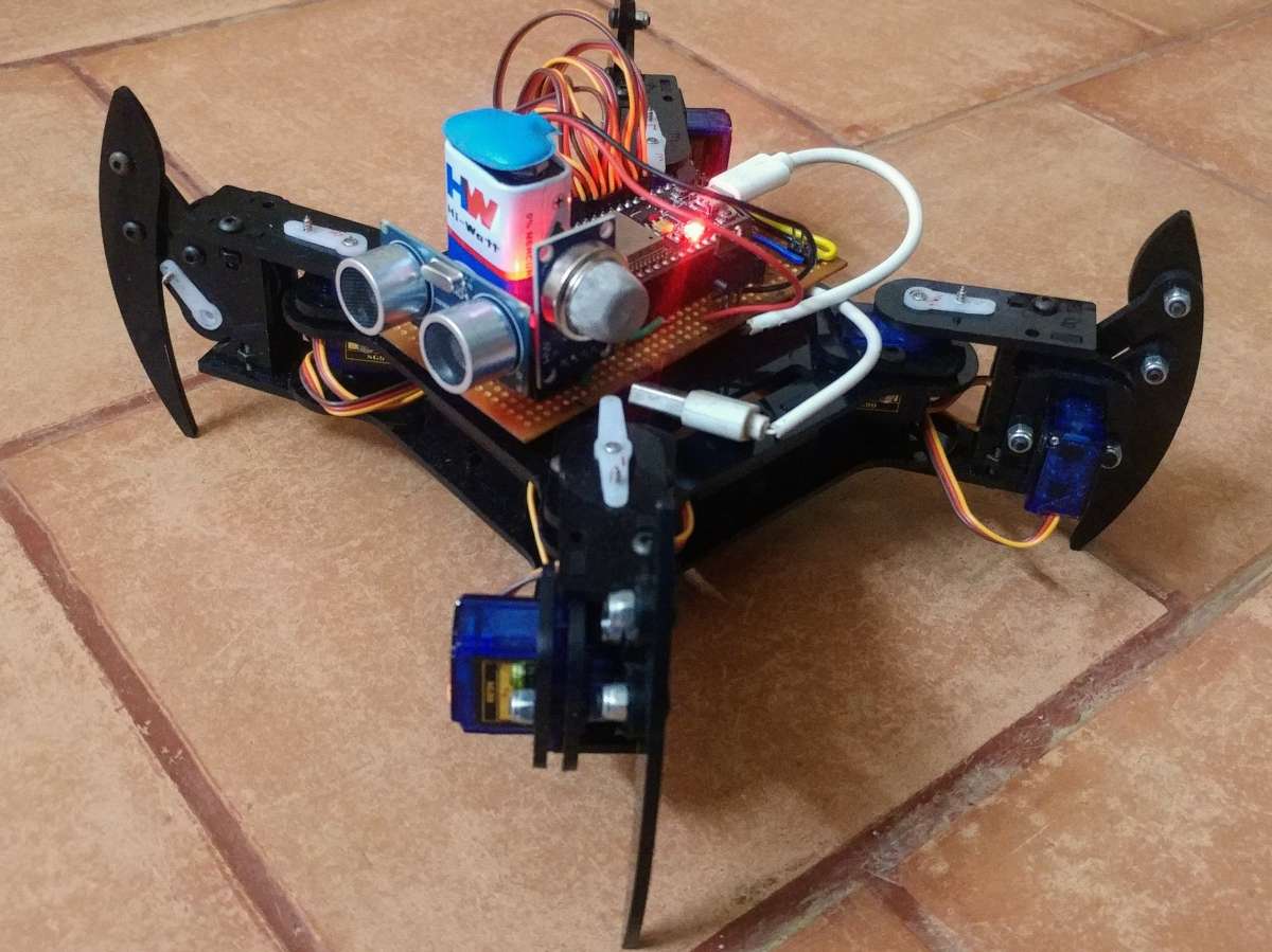 display image